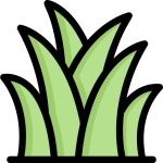 Alfalfa Sprouts Substitutes